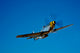 P-51d Mustang Flight near Wall Decal Design 20