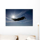 Silhouette Curtiss P-40e Warhawk Wall Decal