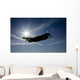 Silhouette Curtiss P-40e Warhawk Wall Decal
