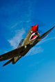 Curtiss P-40e Warhawk Flight Wall Decal Design 5