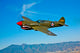 Curtiss P-40e Warhawk Flight Wall Decal Design 2