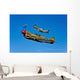 P-40e Warhawk and P-51d Wall Decal Design 2