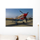 Nose Art Curtiss P-40e Wall Decal Design 1