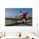 Nose Art Curtiss P-40e Wall Decal Design 1