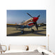 Nose Art Curtiss P-40e Wall Decal Design 1