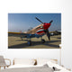 Nose Art Curtiss P-40e Wall Decal Design 1