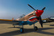 Nose Art Curtiss P-40e Wall Decal Design 1