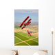 Two Pitts Special S-2a Wall Decal Design 3