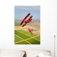 Two Pitts Special S-2a Wall Decal Design 3