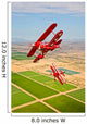 Two Pitts Special S-2a Wall Decal Design 3
