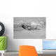 P-51d Mustang Flight near Wall Decal Design 16