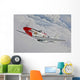 P-51d Mustang Flight near Wall Decal Design 14