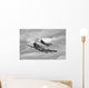 Two Curtiss P-40 Warhawks Wall Decal