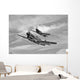Two Curtiss P-40 Warhawks Wall Decal