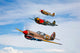 Group P-40 Warhawks Fly Wall Decal