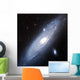 Andromeda Galaxy Wall Decal