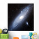 Andromeda Galaxy Wall Decal