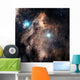 Pelican Nebula Wall Decal