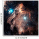 Pelican Nebula Wall Decal