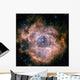 Rosette Nebula Wall Decal