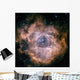 Rosette Nebula Wall Decal