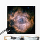 Rosette Nebula Wall Decal