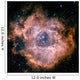 Rosette Nebula Wall Decal