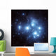 Pleiades Star Cluster Wall Decal
