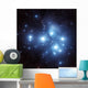Pleiades Star Cluster Wall Decal