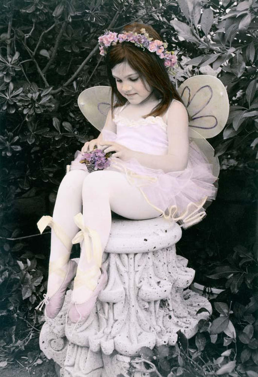 Gossamer Wings I Wall Decal