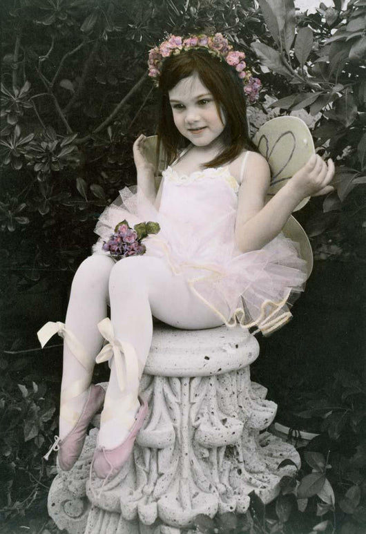 Gossamer Wings 3 Wall Decal