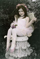 Gossamer Wings 3 Wall Decal