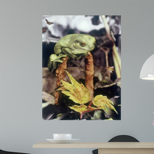 Got Lunch Wall Decal