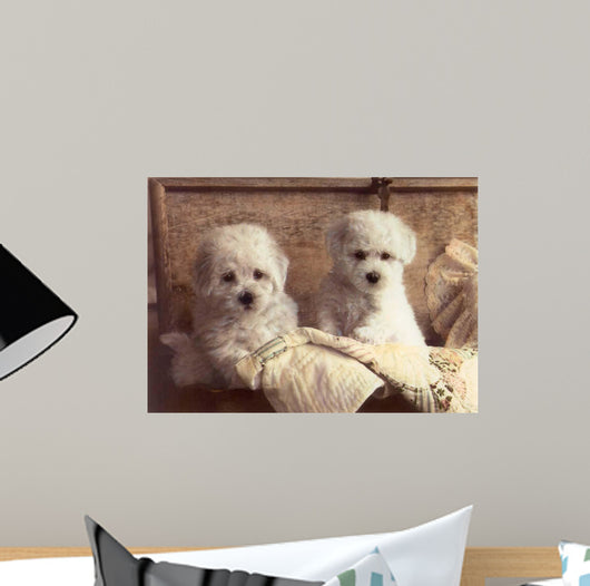 Twice as Nice Wall Decal