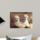 Twice as Nice Wall Decal