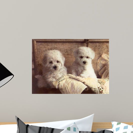 Twice as Nice Wall Decal