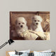 Twice as Nice Wall Decal