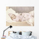 048 Sleeping Beauty Wall Decal