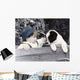 049 Freckles Wall Decal