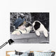 049 Freckles Wall Decal