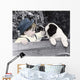 049 Freckles Wall Decal