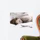 069 Beautiful Dreamer Wall Decal