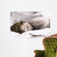 069 Beautiful Dreamer Wall Decal