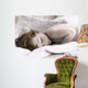 069 Beautiful Dreamer Wall Decal