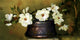 Magnolias Wall Decal