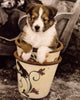 Potted Pup Wall Decal