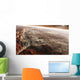 Aram Chaos Crater Shaped Wall Decal