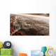 Aram Chaos Crater Shaped Wall Decal