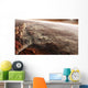 Aram Chaos Crater Shaped Wall Decal