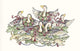 Six Geese Laying Wall Decal